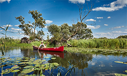 Kanutour im Nationalpark Unteres Odertal_c_TMB-Fotoarchiv_Michael Handelmann